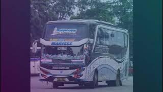 status wa bus stj iguazu