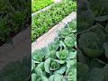 December 17, 2025
