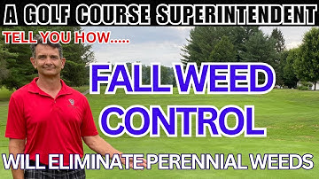 Tips voor onkruidbestrijding in de herfst: de beste herbiciden voor klaver, klimop en breedbladig...