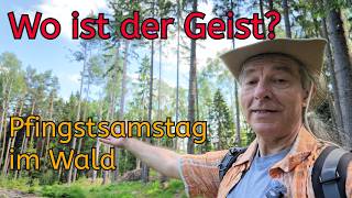 Wo ist der Geist? Pfingsten im Wald