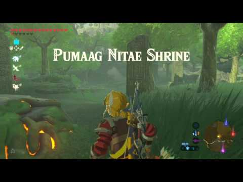Vídeo: Zelda - Solución Pumaag Nitae En Breath Of The Wild