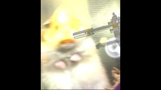 Devotion.exe