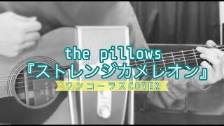 【歌ってみた】ストレンジカメレオン-the pillows-【弾き語り】