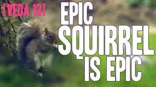[VEDA 13] Epic squirrel is epic