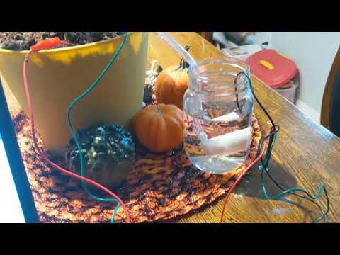Micro:bit Plant Watering System