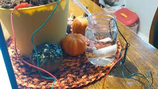 Micro:bit Plant Watering System