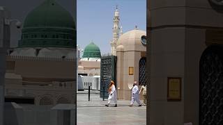 Chhod fikra Duniya Ki Chal Madine Chalte Hain🙌💚 #masjidnabawiﷺ​ #madinah​ #islam​ #reel​ #viralvideo