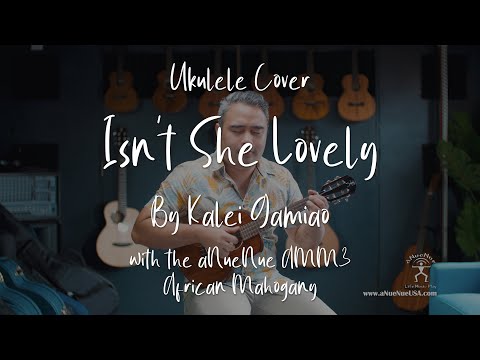 [4K] Isn't She Lovely - Kalei Gamiao (an Ukulele Cover on the aNueNue AMM3 Tenor Ukulele)
