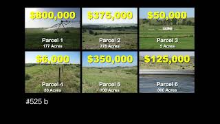 Power Parcels™. A multi-parcel auction process.