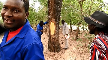 Securing Shared Communal Land in Namibia: Village Boundary Mapping