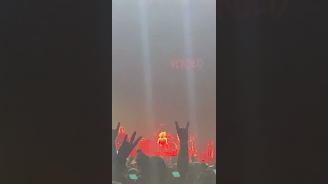 Griffin Taylor and Vended Live in Austria