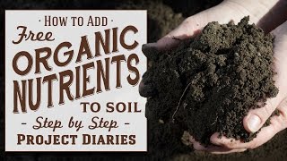 ★ How to: Add Free Organic Nutrients to Soil (A Complete Guide to Reusing old Soil)