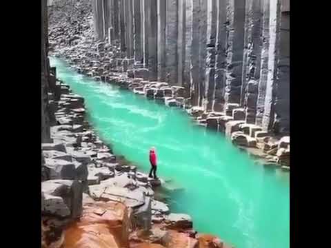 نشيد يارب صلي على النبي واله