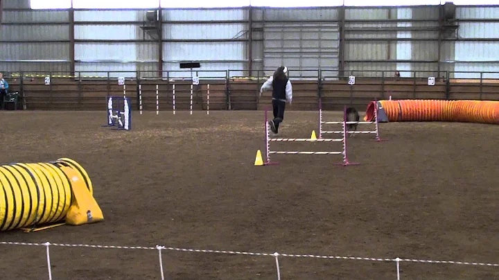 CPE Trial.  ,Jackpot.  Level 1, Dorene and Ryder. ...