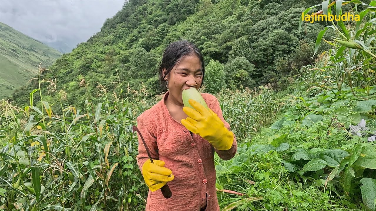 village lifestyle in Nepal || @villagefoodkitchen ||