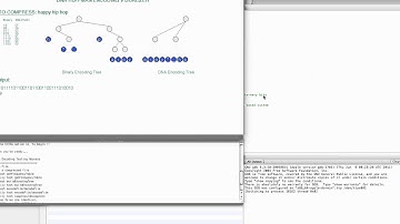 What does Huffman Compression Look Like with DNA?