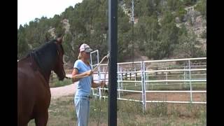 Stable Management Lesson Three - The Quick Release Knot