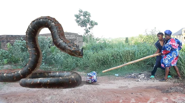 Anaconda | Mark Angel Comedy | OGB Recent | Sirbalo Comedy | Brainjotter Comedian