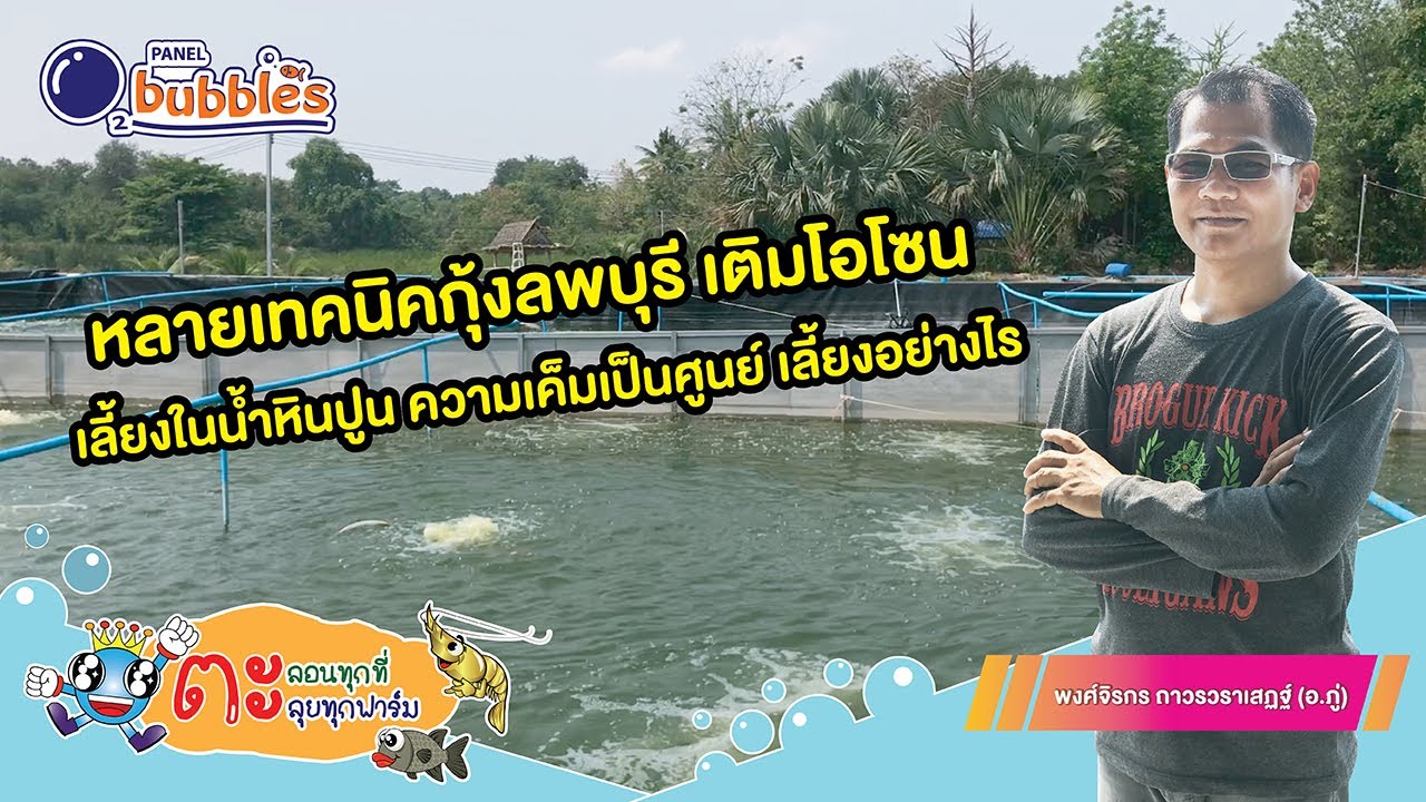 หลายเทคนิคกุ้งลพบุรี ความเค็มศูนย์ เลี้ยงกันอย่างไร [English Subtitle]