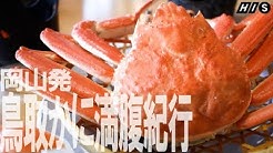 His エイチ アイ エス Youtube His エイチ アイ エス Youtube