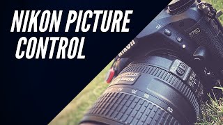 Nikon CineFlat Picture Control Free Download Link Below +Sample Video by Food Rush Delivery 686 views 3 years ago 3 minutes, 2 seconds