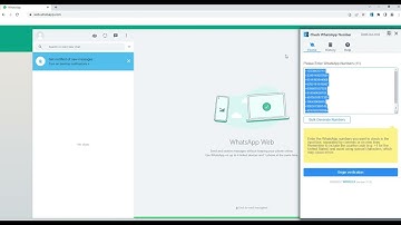 How To  Check & Filter & Verify WhatsApp Number - Verify the Validity of Phone Numbers | WABULK