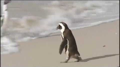 Speakout Elementary second edition Unit 4 Favourite places