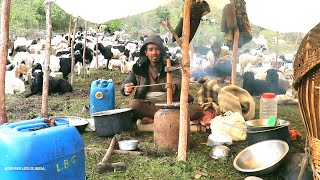 shepherd life of Nepal || shifting sheep hut || Himalayan Life of Nepal ||