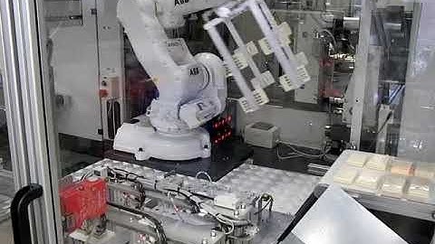 6-axis Robot Automation.