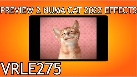 Preview 2 Numa Cat 2022 Effects [Mokou Deepfake Effects]