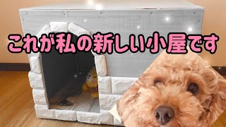 【りんぱぱDIY】トイプードルりんの小屋を作る