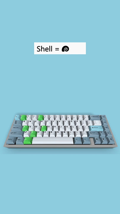 Spiral Shell 🐚 | Unicode Shortcut Key (Code 1F41A) | #computer #Symbol #typing #keyboard #tricks
