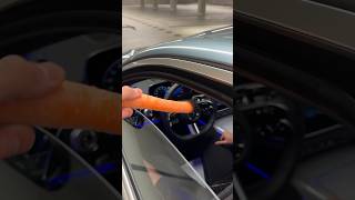 New Mercedes Carrot Test 🥕