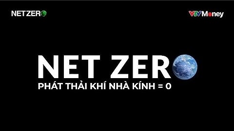NET ZERO là gì?