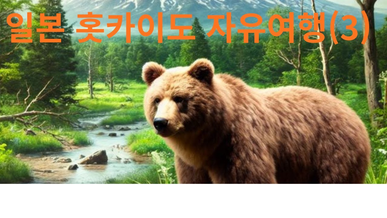 불곰 서식지 시레토코 반도 - YouTube