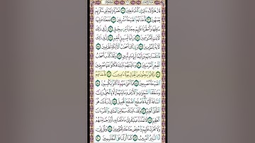 صفحة 266 من القرآن الكريم بصوت القارئ الشيخ ميثم التمار