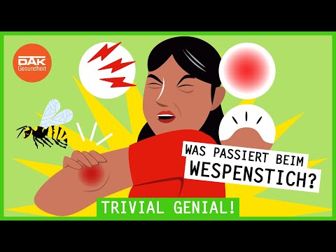 Was passiert beim Wespenstich? | #trivialgenial | DAK-Gesundheit