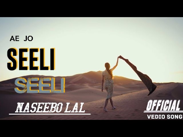 Ae Jo Seeli Seeli | Naseebo Lal | [ Slowed + Reverb ] Lofi | Full Music Video | Deepak Singh Nimoda