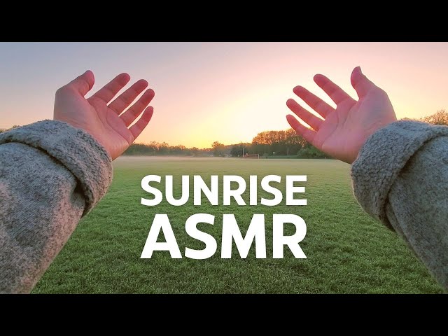 Public ASMR🌤️Sunrise Camera Tapping Scratching lofi