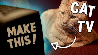 How to make a Raspberry Pi Cat TV