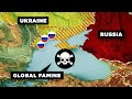 Global Food Crisis and Trade Dynamics