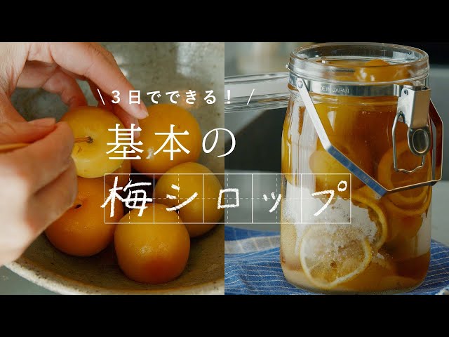 【基本の梅シロップ】3日で美味しいワケがある。はちみつレモン梅シロップの作り方 のサムネイル