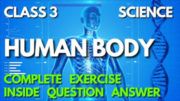 Human Body Question Answer Class 3 | The Human Body Class 3 Science Chapter 5 Question Answer