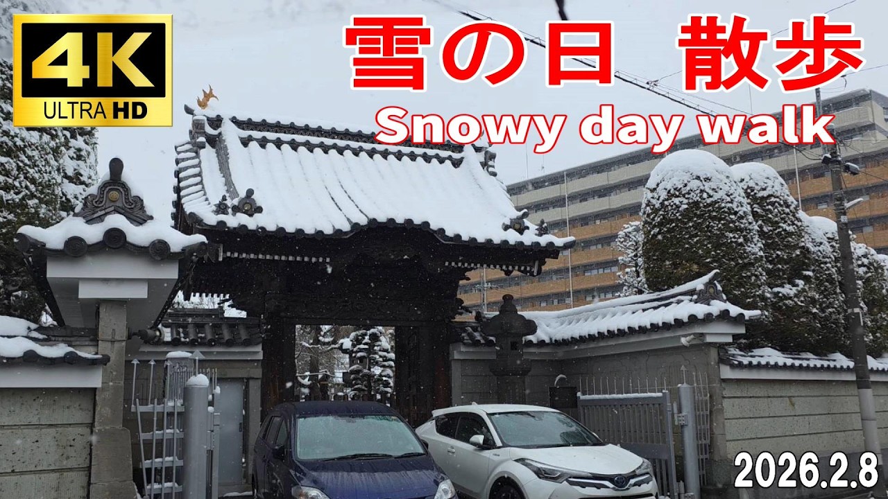 【4K Japan】2026.2.8  雪の日 散歩『Snowy day walk』#散歩 #雪 #walking