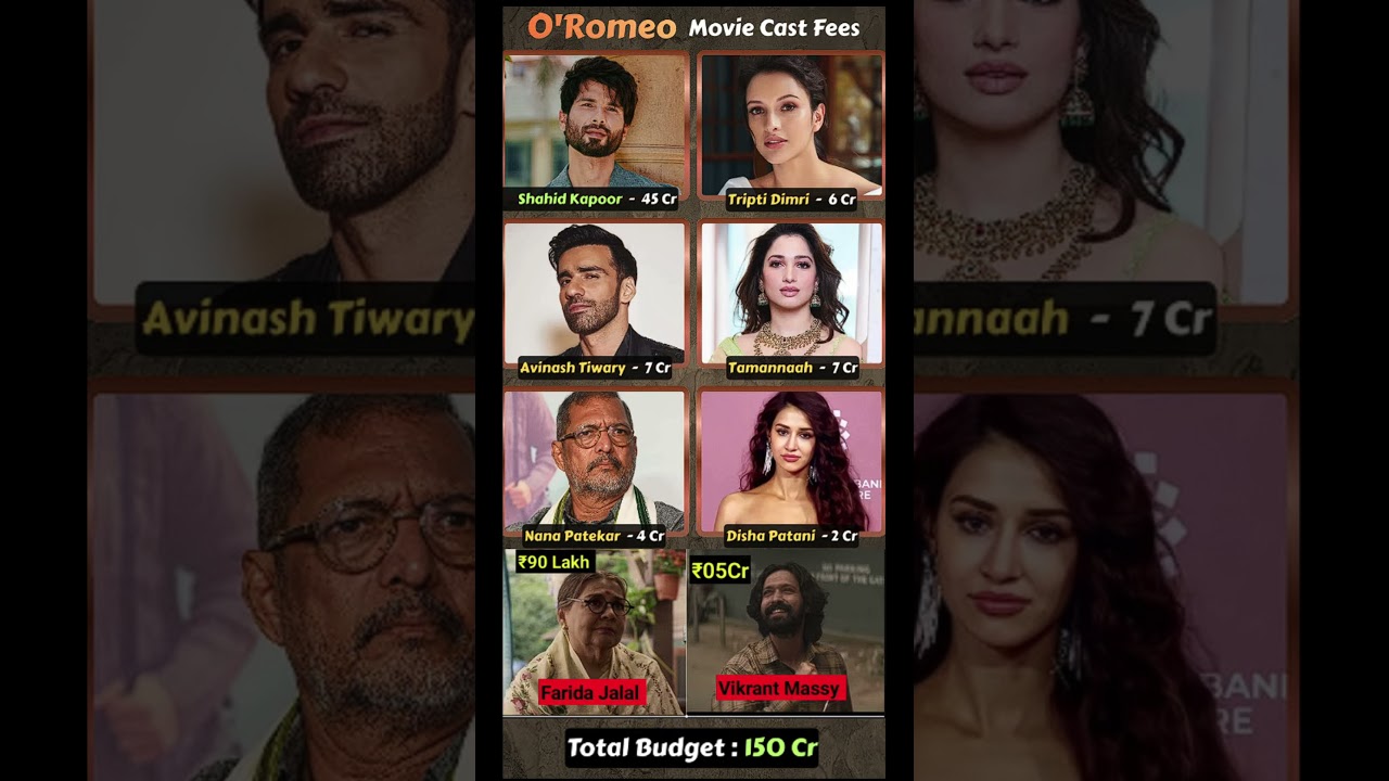 O' Romeo movie star cast fees revealed! 