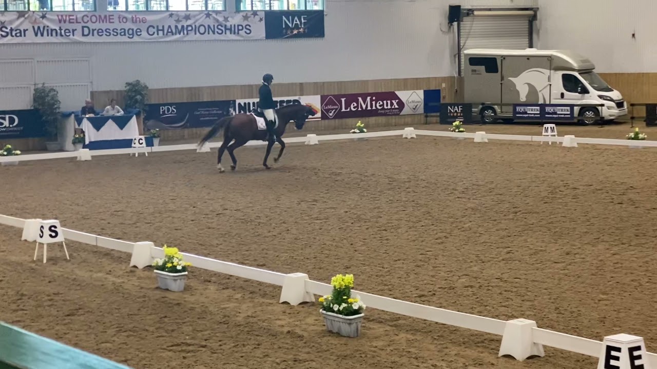 Novice Silver Freestyle to Music Winter Champs Hartpury July 2021