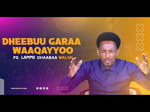 Dheebuu Garaa Waaqayyoo P Lammii Dhaabaa Waliin 