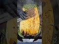 كباب خاروف مع الصوت الطيراني بتضربو ولا بتهربو 😋👌🏻#اشتراك #food #streetfood #explore #عشاءلذيذ #chef