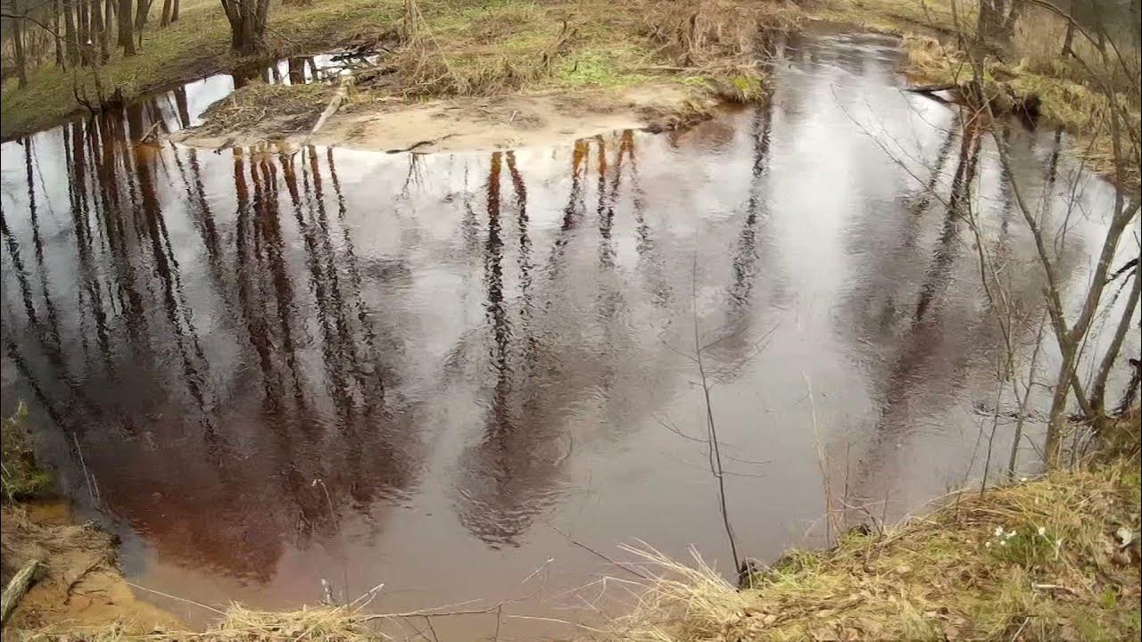 Лесная река на что ловить