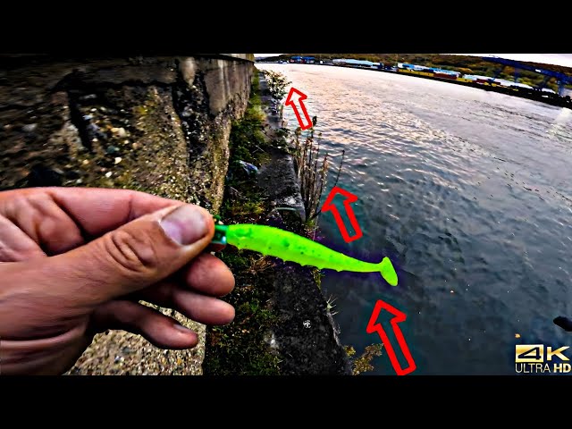 Nays PRDTR 3.5 Inch Soft Bait Rubber Fish Predator Pike Zander